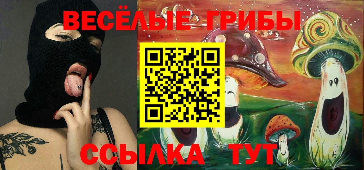 Галлюциногенные грибы Новокубанск
