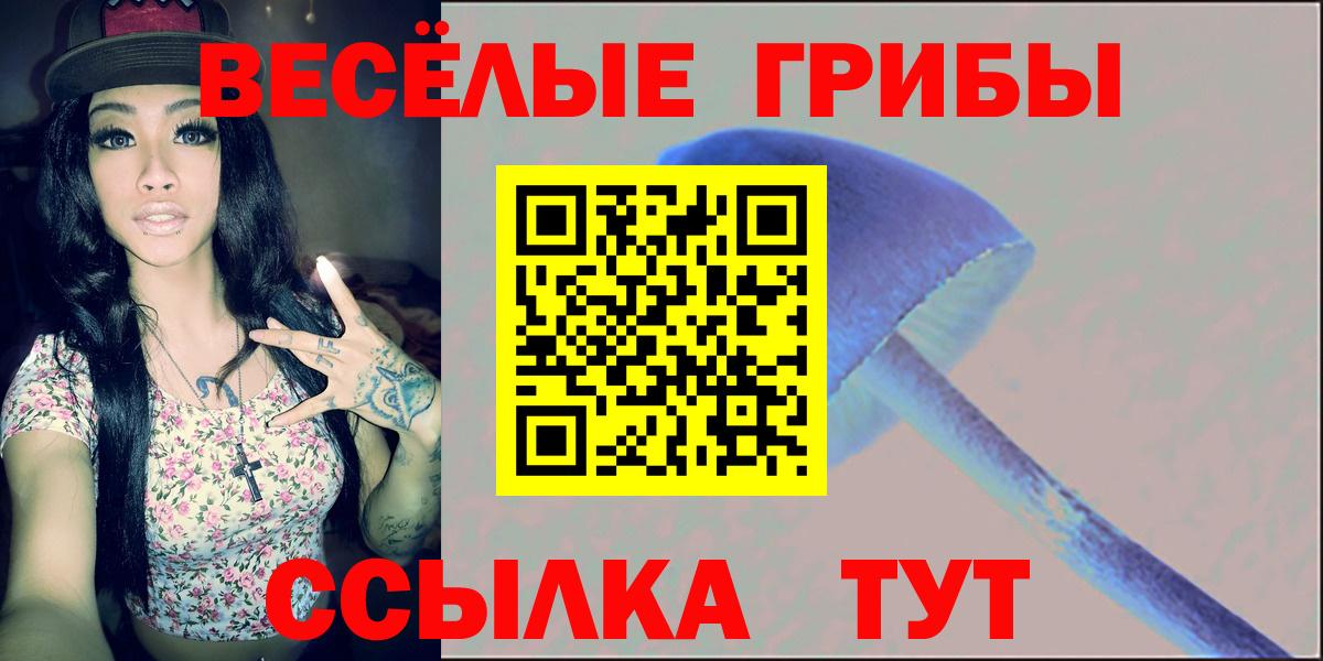 Новокубанск  Псилоцибиновые грибы мухоморы  Галлюциногенные грибы Psilocybine cubensis  Вход с VPN 
