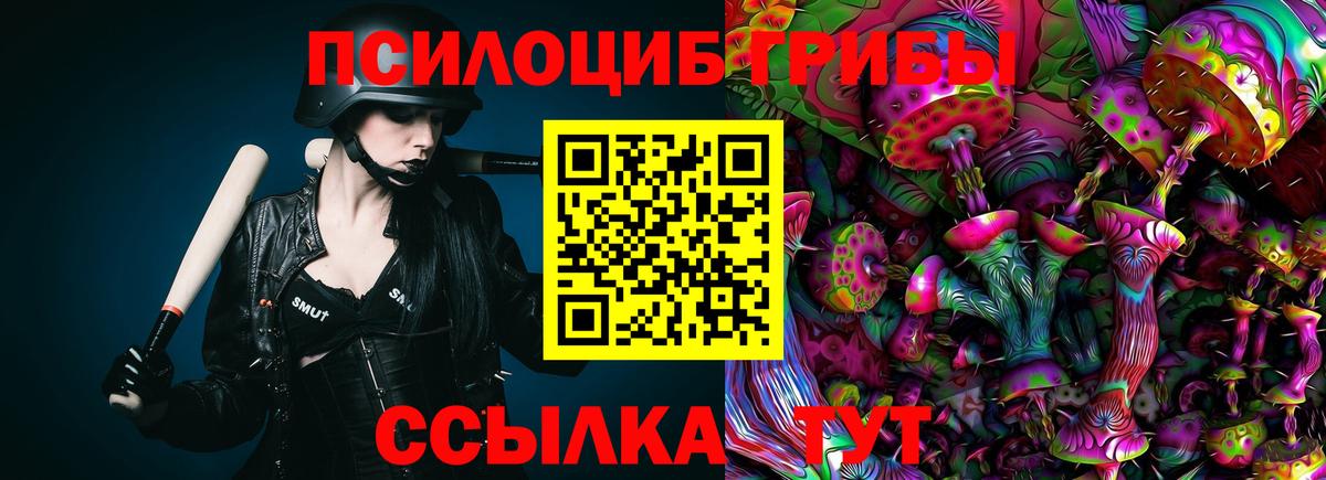 Псилоцибиновые грибы ЛСД Новокубанск
